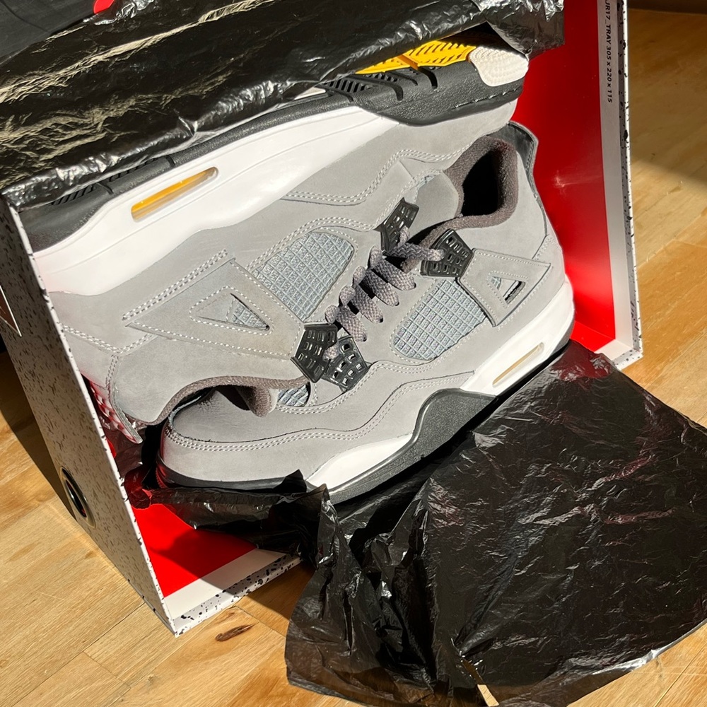 Jordan 4 Retro Cool Grey 2019